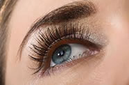 Eyelashes and Eyebrow Tinting and shaping